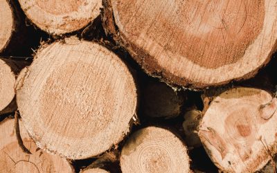 Tartak – Źródło Doskonałego Drewna: Buduj Z Pasją i Wytrzymałością.