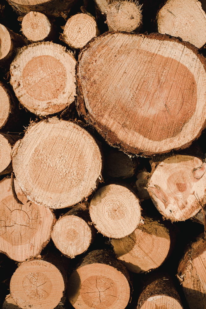 Tartak – Źródło Doskonałego Drewna: Buduj Z Pasją i Wytrzymałością.